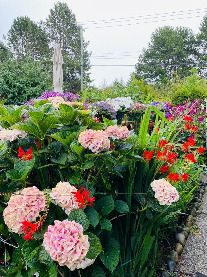 Garden Home In Victoria -Beautiful Home In Victoria Exterior photo