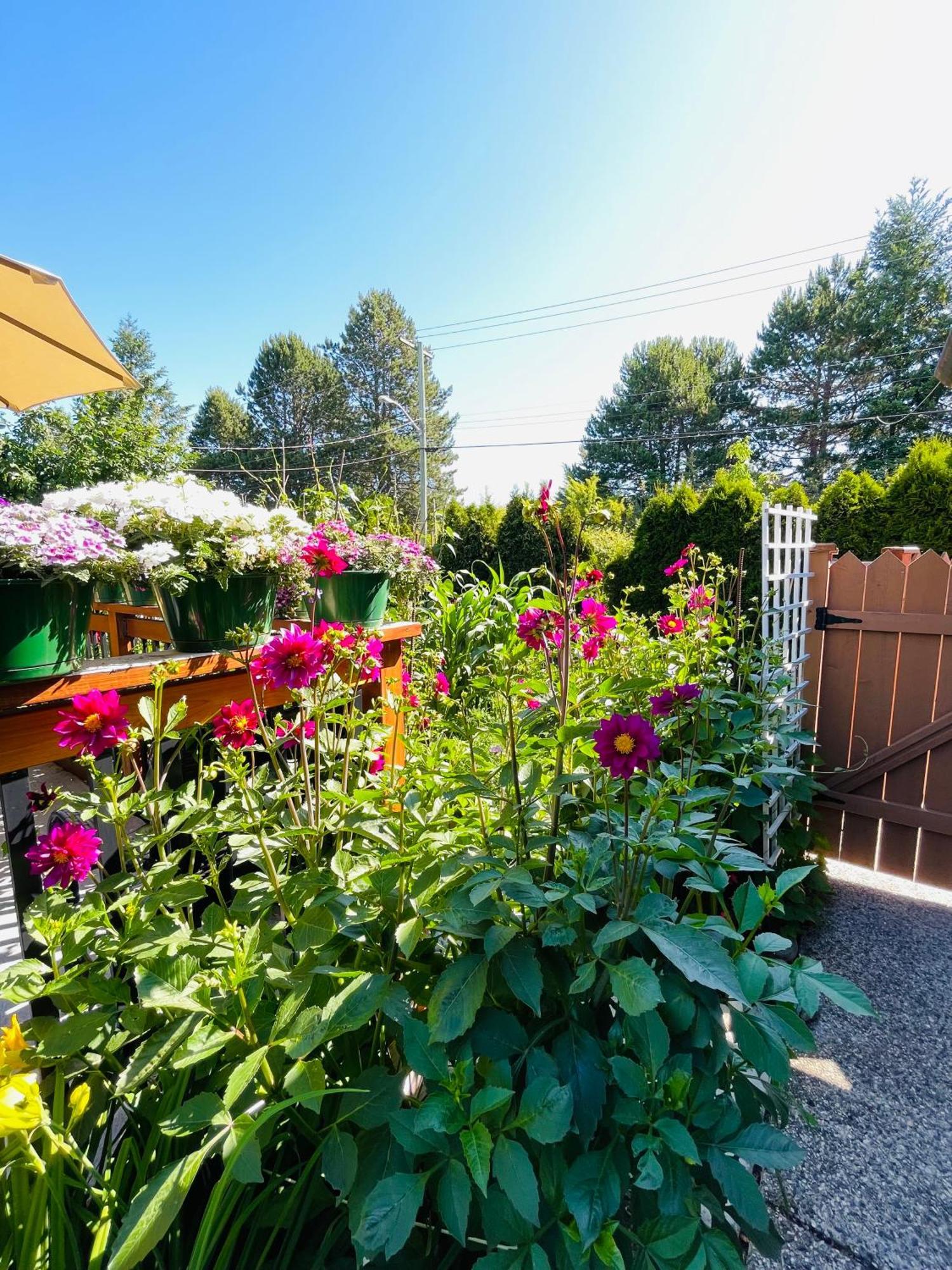 Garden Home In Victoria -Beautiful Home In Victoria Exterior photo